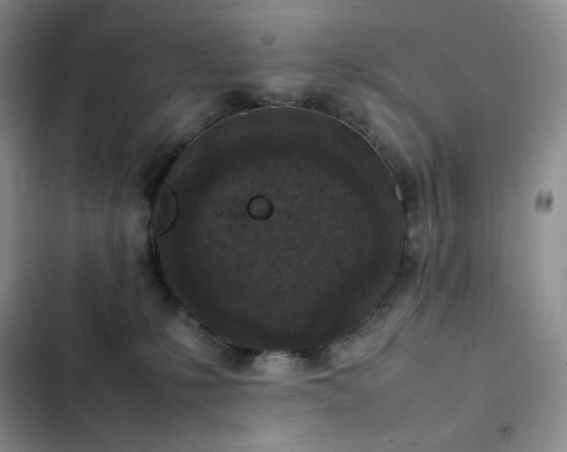 X0000102840231200808181355