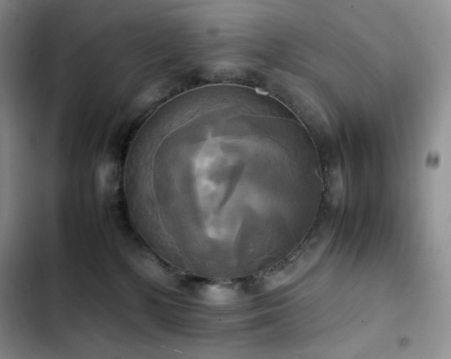 X0000102840232200808181355