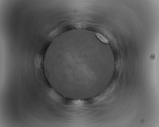 X0000102840233200808181355