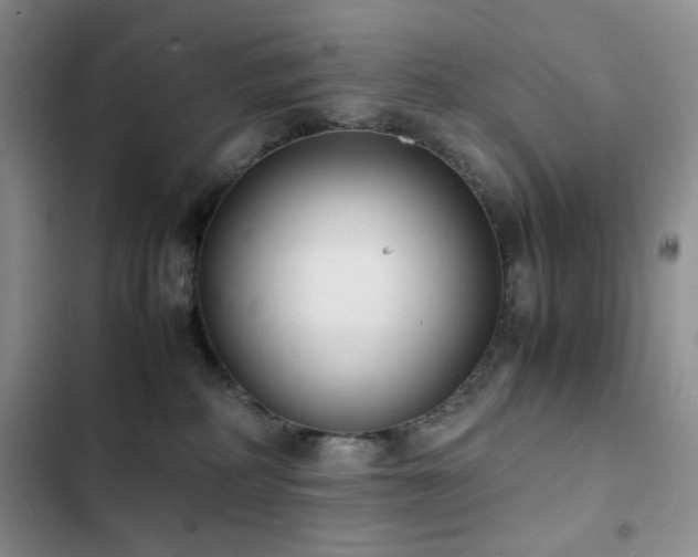 X0000102840234200808181355