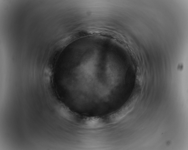 X0000102840235200808181355