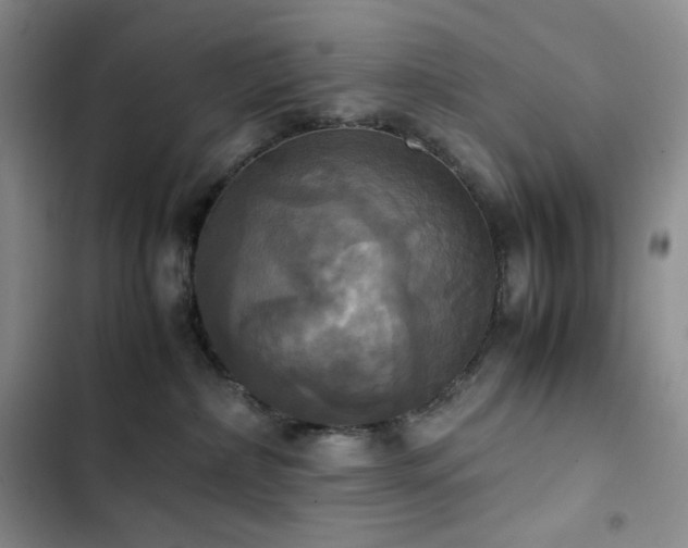 X0000102840236200808181355