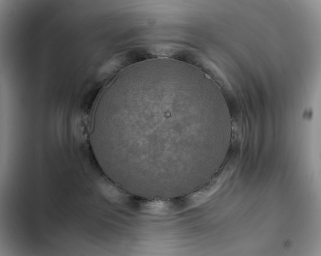 X0000102840237200808181355