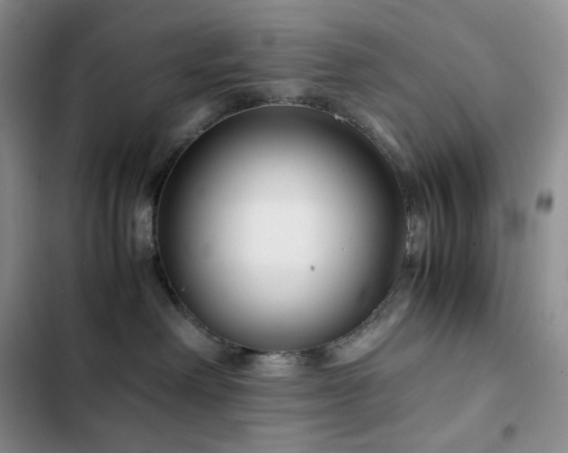 X0000102840238200808181355