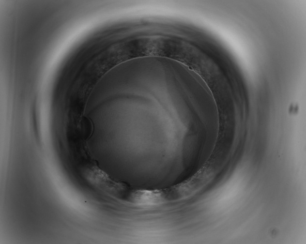 X0000102840239200808181355