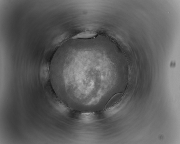 X0000102840240200808181355