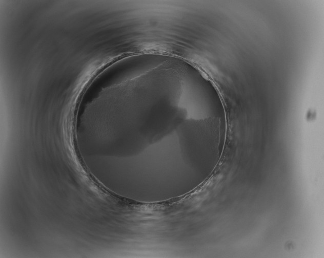 X0000102840241200808181355