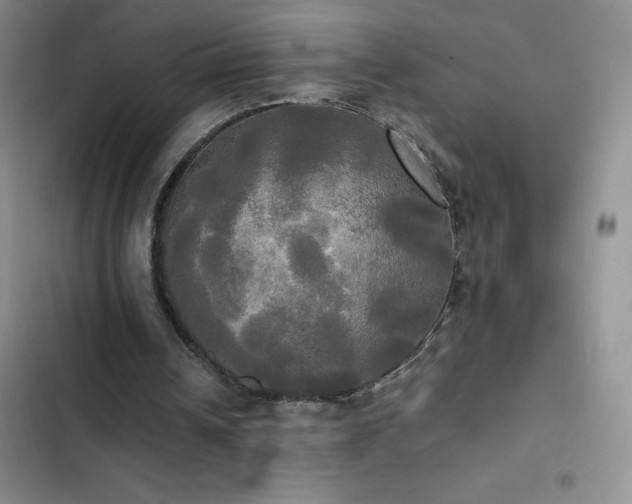 X0000102840242200808181355