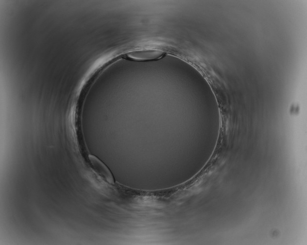 X0000102840244200808181355