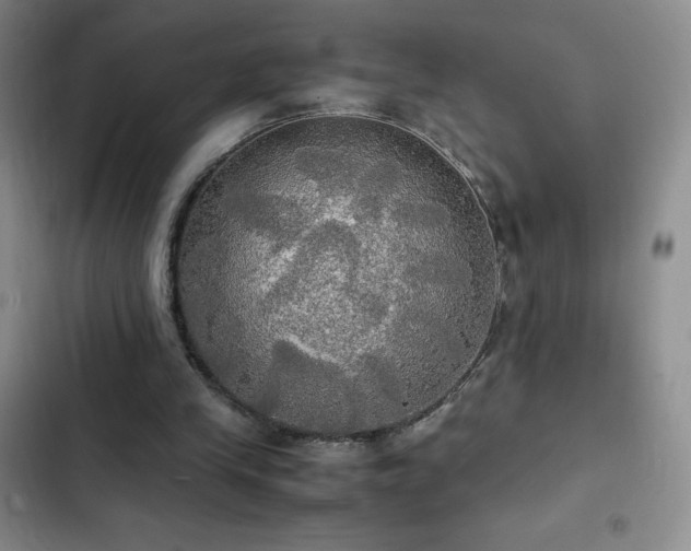 X0000102840245200808181355