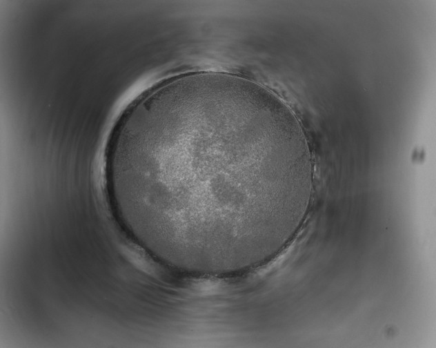 X0000102840246200808181355