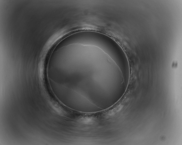 X0000102840247200808181355