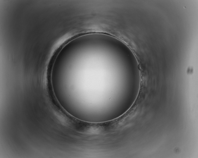 X0000102840248200808181355