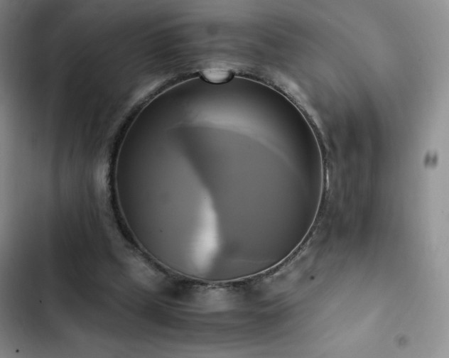 X0000102840249200808181355