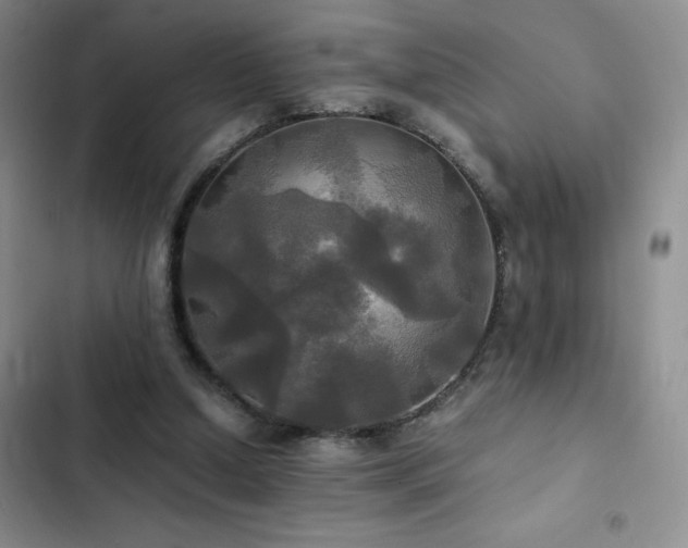 X0000102840250200808181355