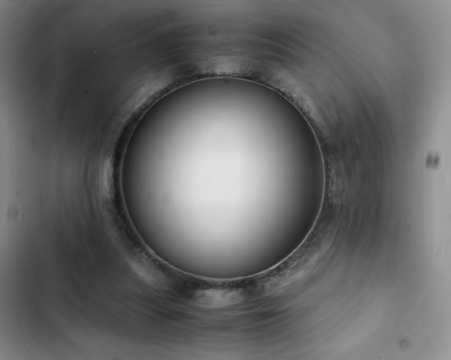 X0000102840251200808181355