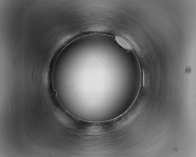 X0000102840252200808181355