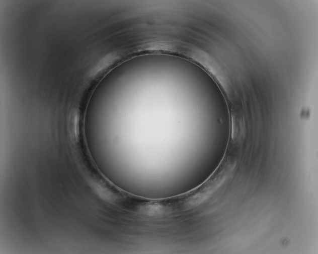 X0000102840253200808181355