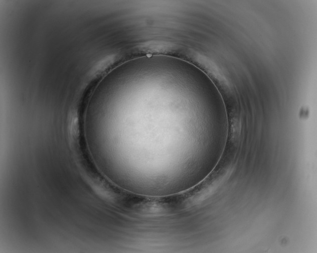 X0000102840254200808181355