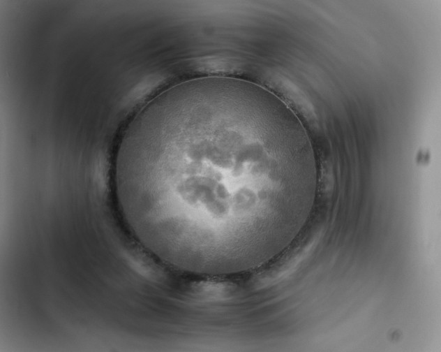 X0000102840255200808181355