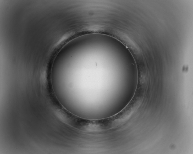 X0000102840256200808181355