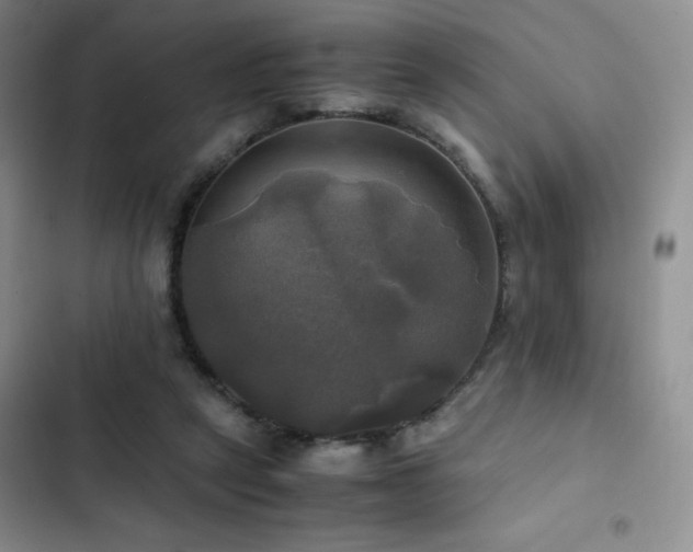 X0000102840257200808181355