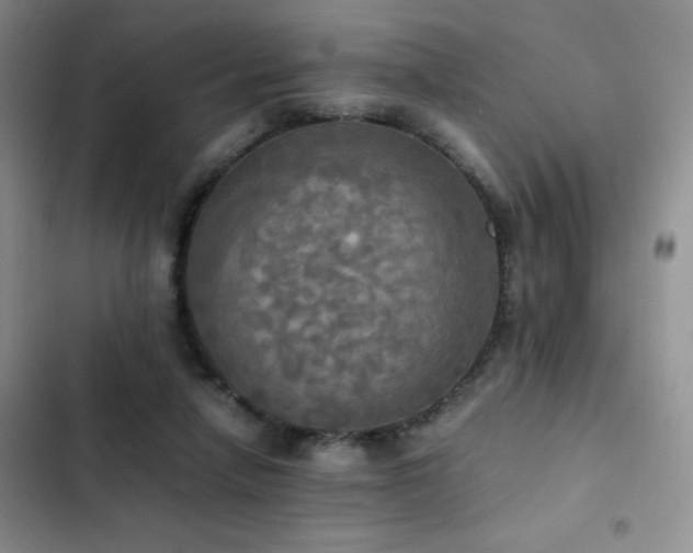 X0000102840258200808181355