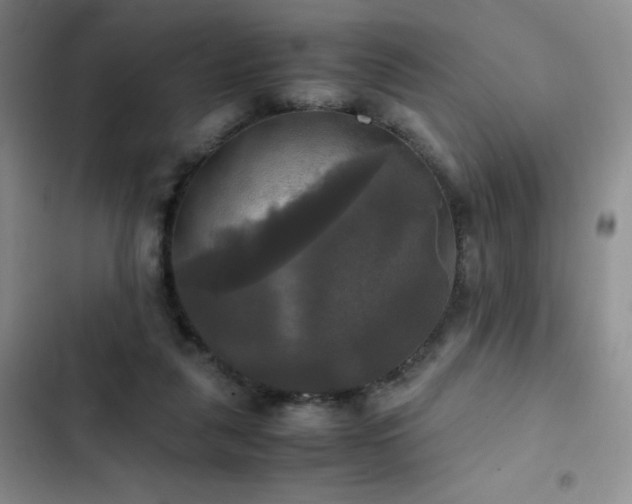 X0000102840259200808181355