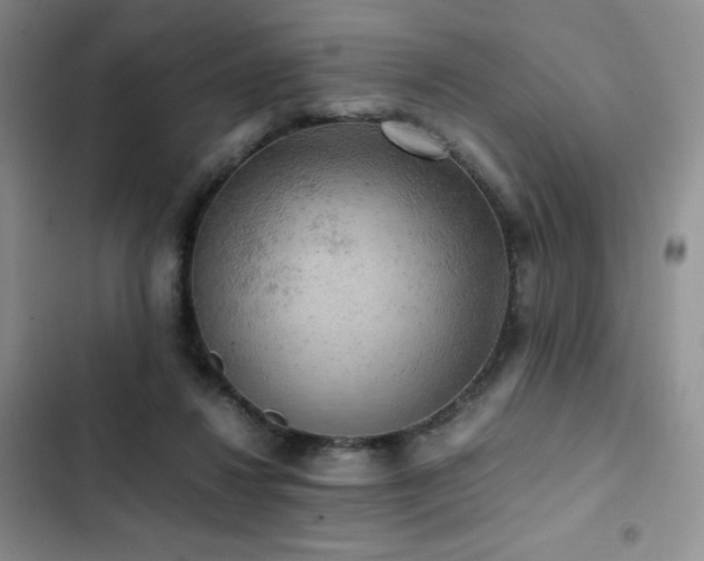 X0000102840260200808181355