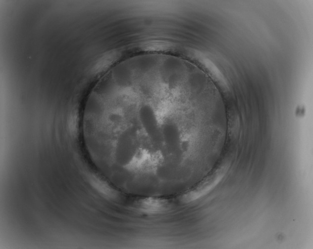 X0000102840261200808181355