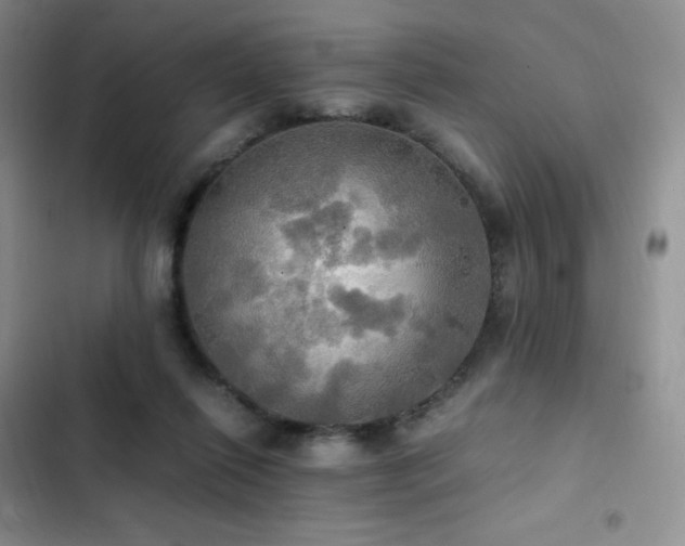 X0000102840262200808181355