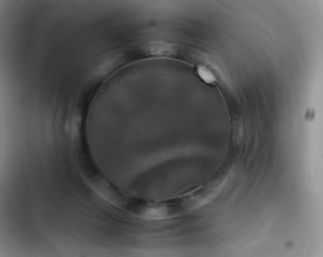 X0000102840263200808181355