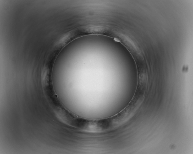 X0000102840264200808181355