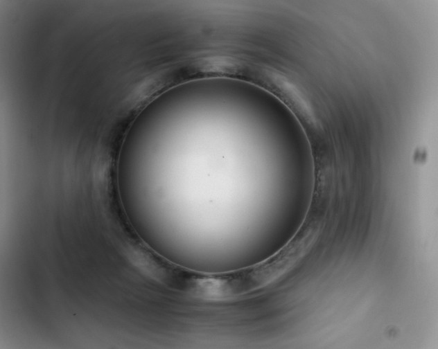 X0000102840265200808181355