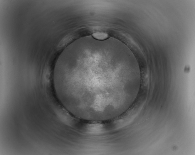 X0000102840266200808181355