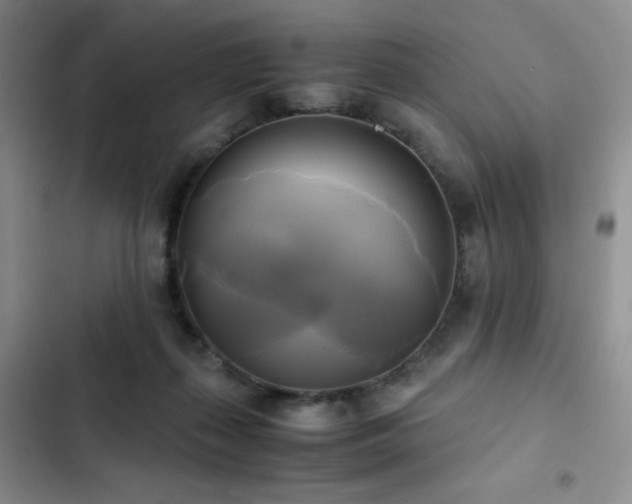 X0000102840267200808181355