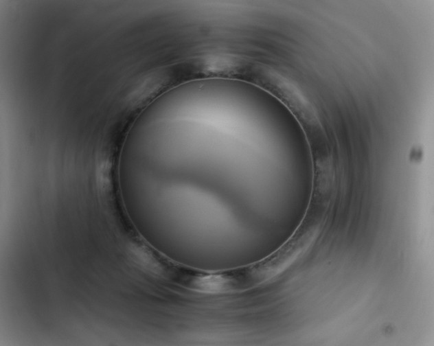 X0000102840269200808181355