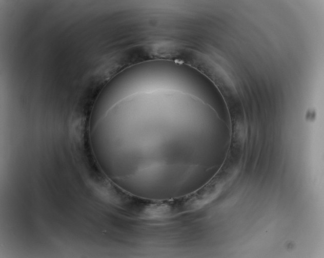 X0000102840271200808181355