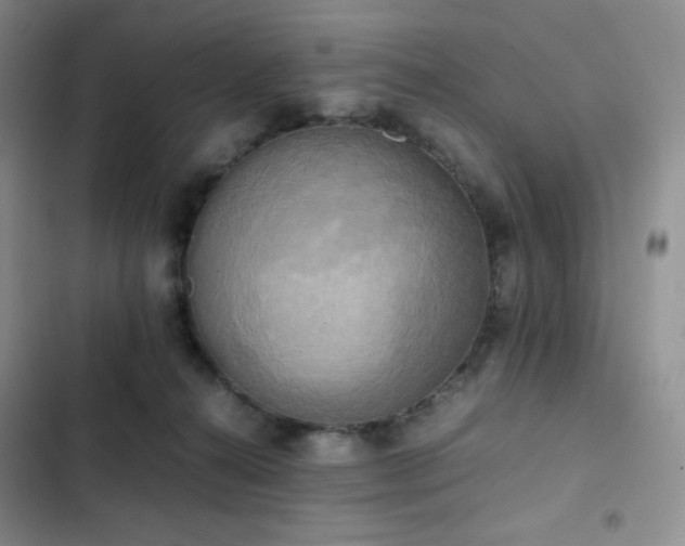 X0000102840272200808181355