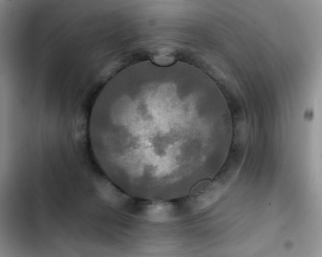 X0000102840274200808181355