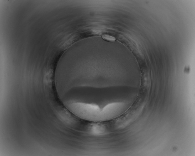 X0000102840275200808181355