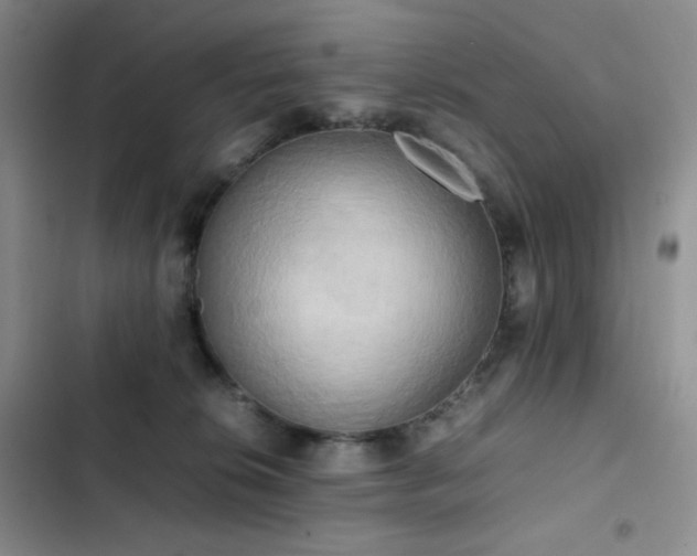 X0000102840276200808181355