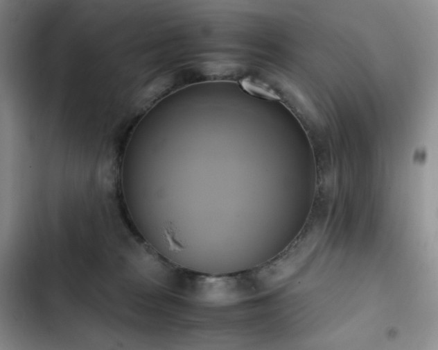 X0000102840277200808181355