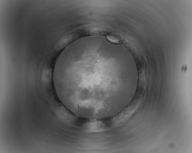 X0000102840278200808181355