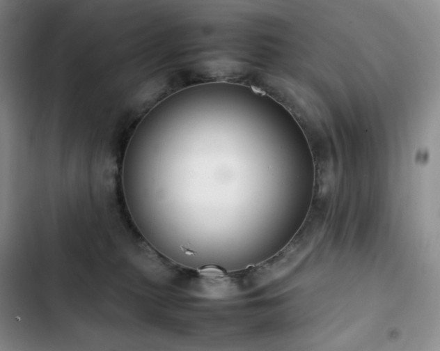 X0000102840279200808181355