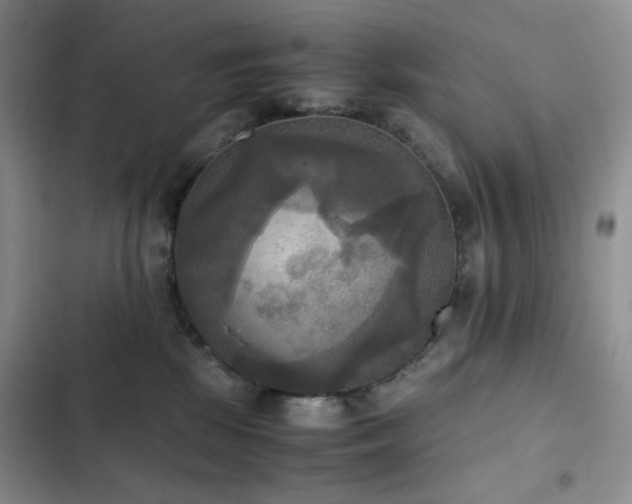 X0000102840281200808181355