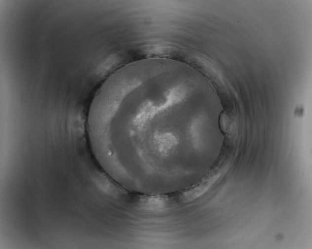 X0000102840282200808181355