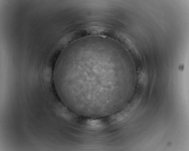 X0000102840283200808181355