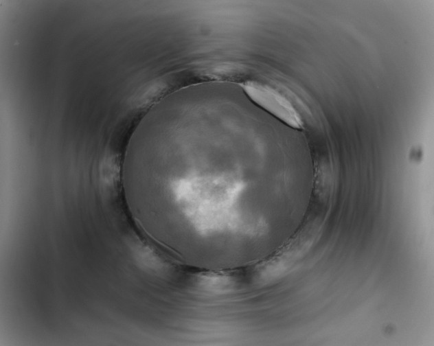 X0000102840284200808181355