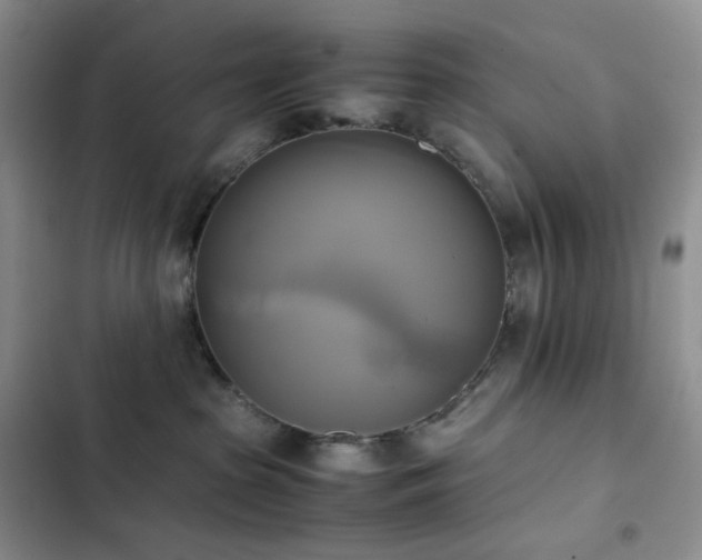 X0000102840285200808181355